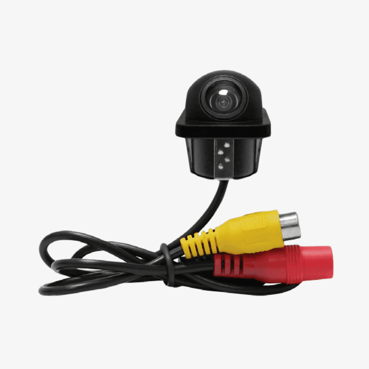 CÂMERA DE RÉ TARTARUGA