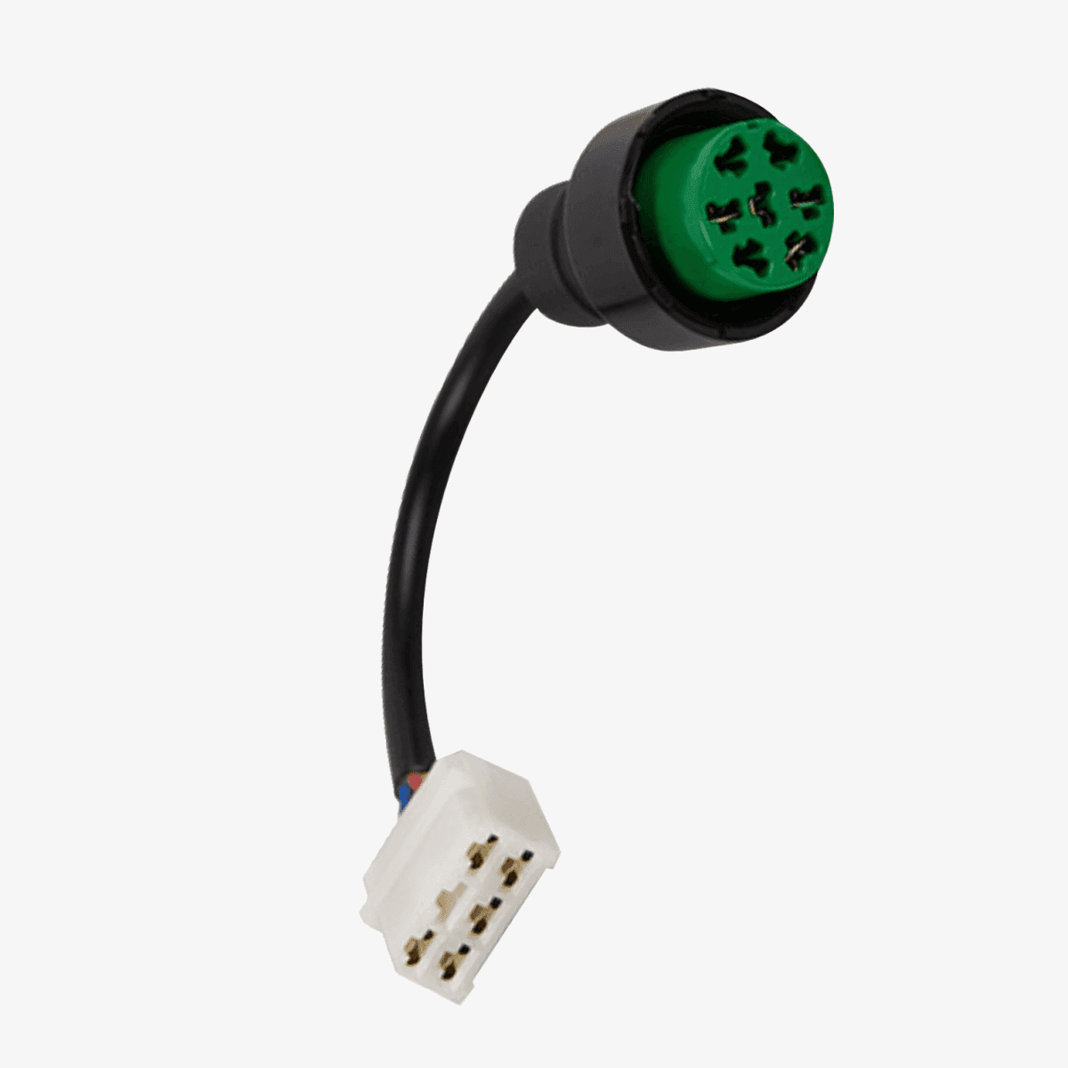 CHICOTE 7 VIAS VERDE - DIREITO